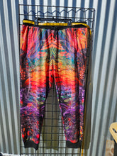 SALE: Tag says 3X (measures 42" waist) Isis/Ina May Remix Banjo Glass Joggers