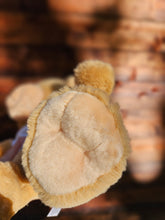 Teddy Bear with a Golden Dripper T-Shirt