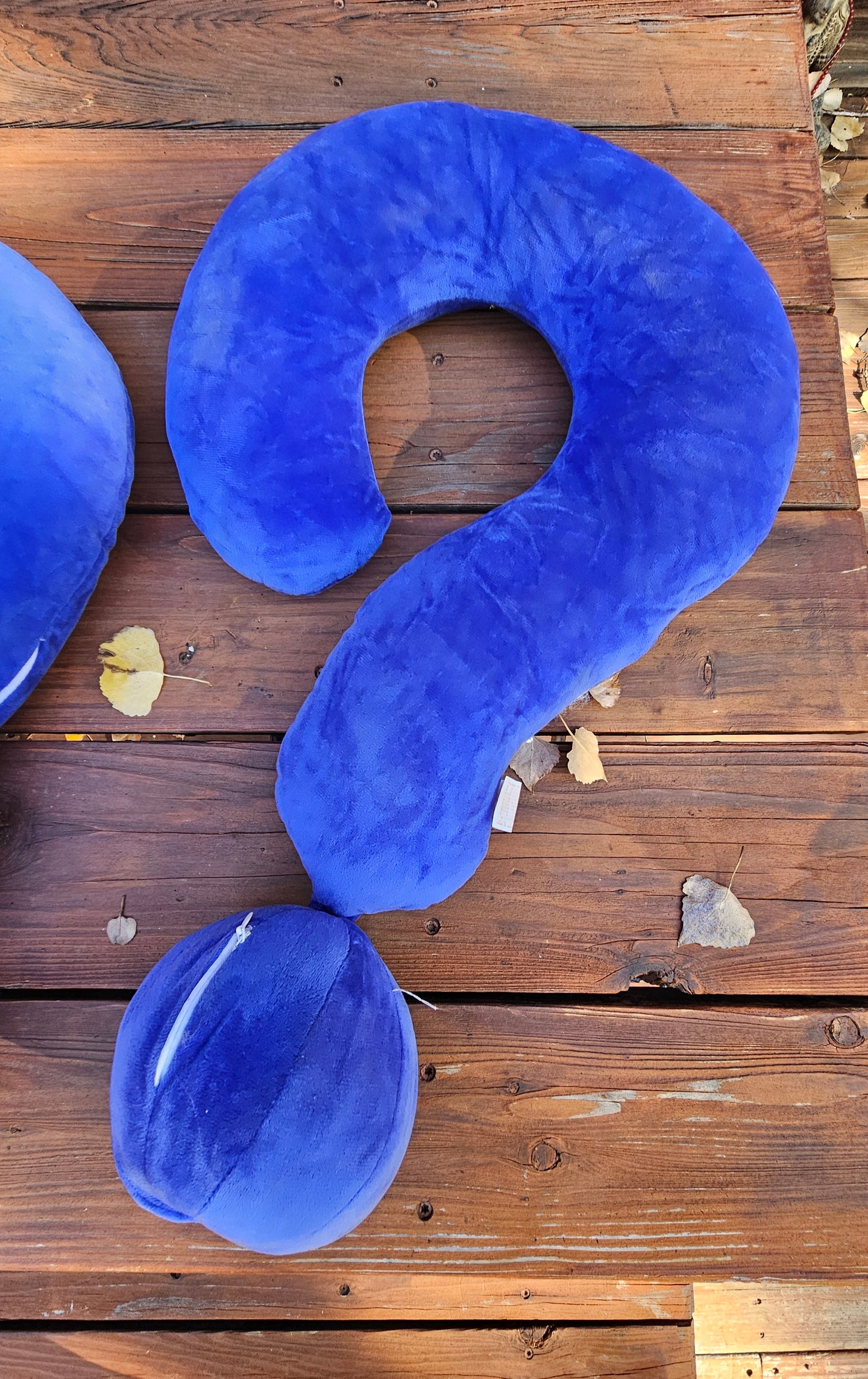 Blue Question Mark Pillow