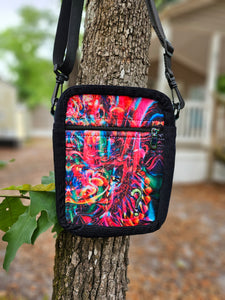 Reddy Threads x Singer "Off to See the Wizard" w/question mark Velvet Crossbody Bag