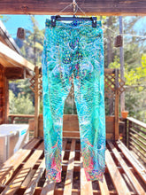 Saphira v2 Velvet Joggers