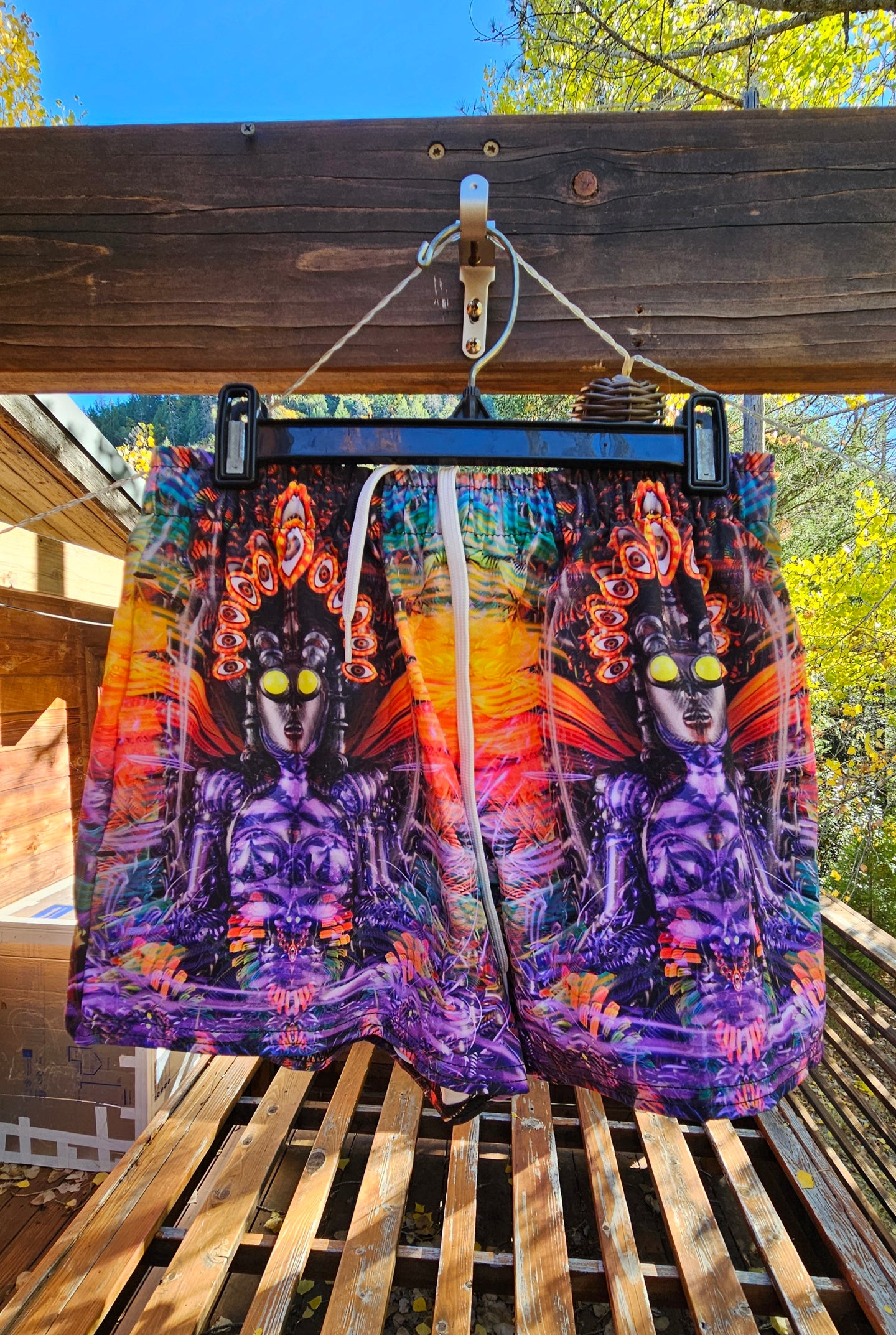 XS and 2X Banjo Glass Isis/Ina May Women's Shorts